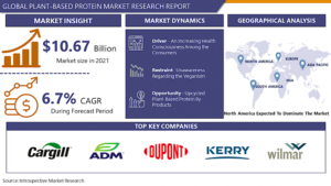 Global Plant-Based Protein Market key trends , opportunities and challenges for forecast 2029