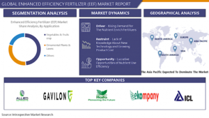 Global Enhanced Efficiency Fertilizer (EEF) Market | Future Prospects, Regional Demand And Forecast 2029