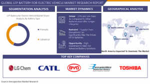 Analysis of the LFP Battery for Electric Vehicle Market Forecast to 2029 Using A Base Year Of 2022