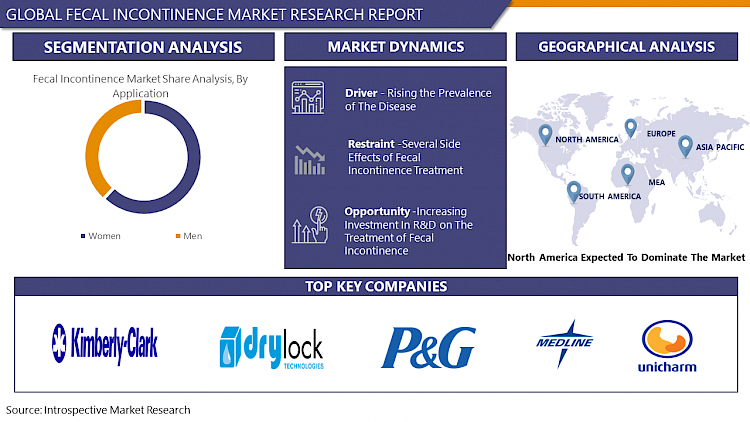 Fecal Incontinence Market