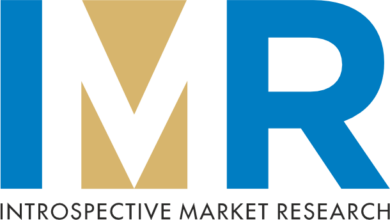 introspective market research logo original