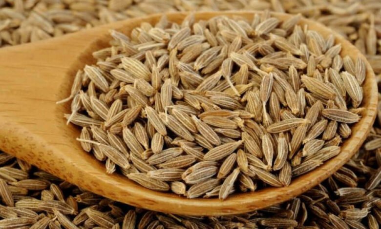 Jeera Ke Damage: Be careful! Excessive consumption of cumin can be harmful for health.