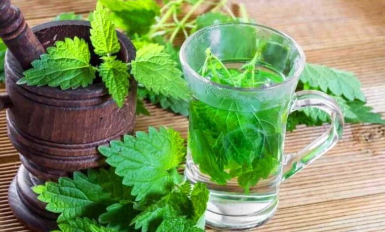 Don't forget to take mint lightly... It gives relief from these 10 diseases occurring in winter