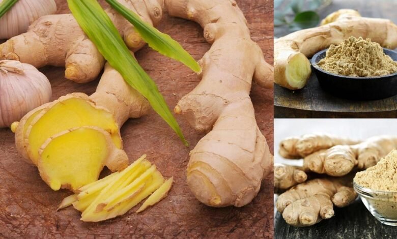 Ginger Benefits In Winter: Ginger is very beneficial in winter! Daily intake will give these benefits to the body