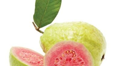 Guava benefits: What are the benefits of eating guava for health